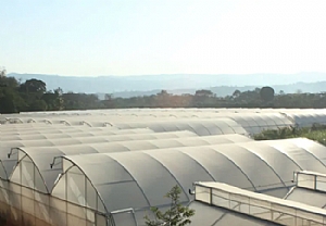 阿森沃畝創(chuàng)新農業(yè)公司